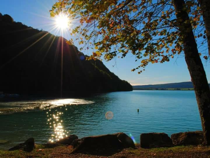 Maison/Gîte familial dans le Jura à 200m du lac avec piscine privée Marigny  Extérieur photo