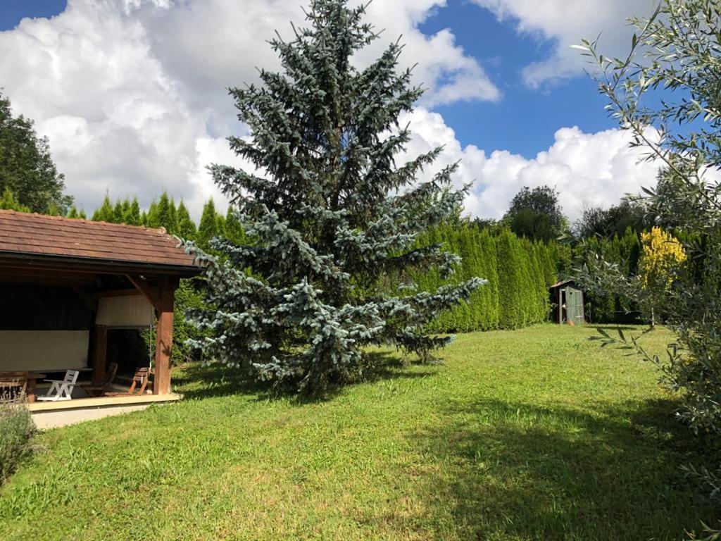 Maison/Gîte familial dans le Jura à 200m du lac avec piscine privée Marigny  Extérieur photo