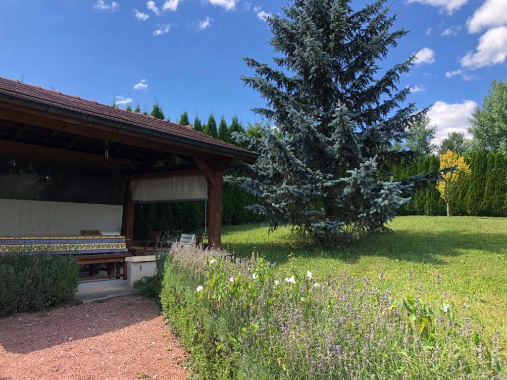 Maison/Gîte familial dans le Jura à 200m du lac avec piscine privée Marigny  Extérieur photo