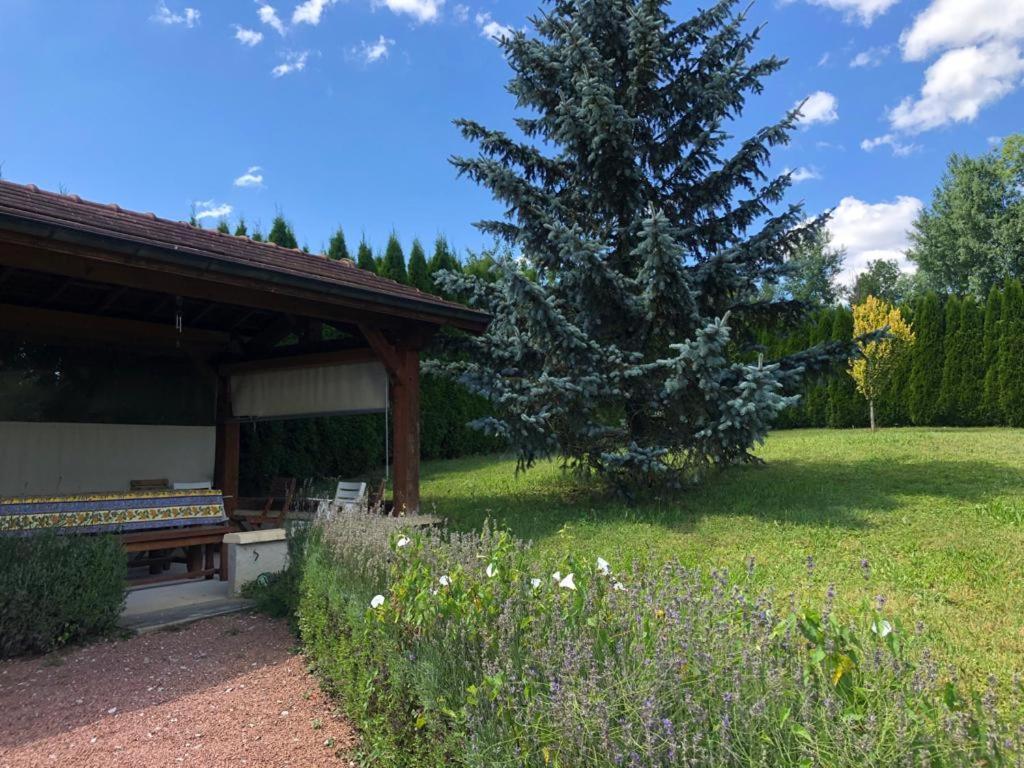 Maison/Gîte familial dans le Jura à 200m du lac avec piscine privée Marigny  Extérieur photo