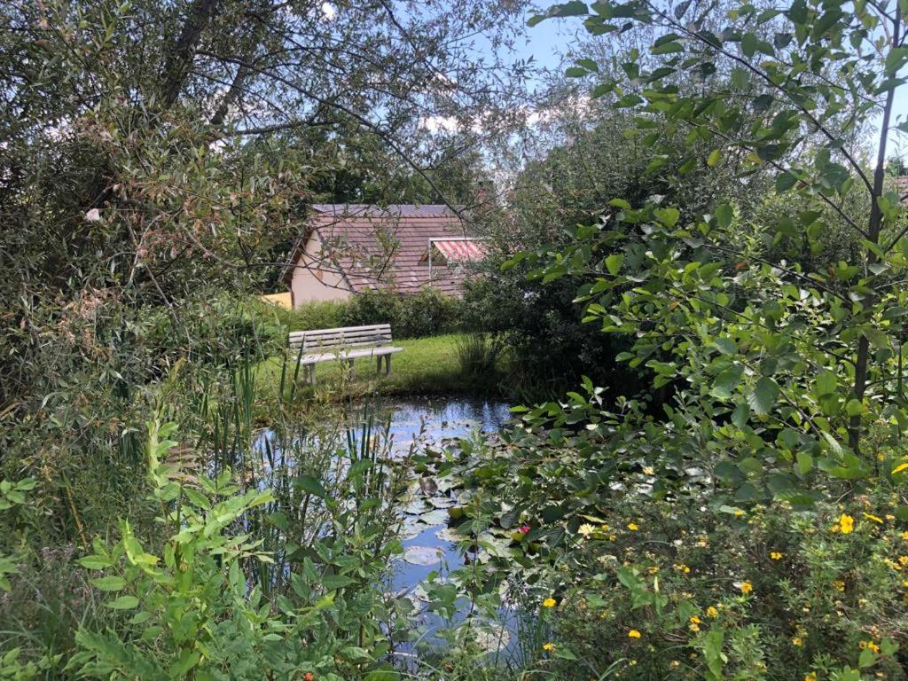 Maison/Gîte familial dans le Jura à 200m du lac avec piscine privée Marigny  Extérieur photo